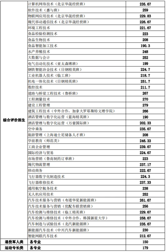绳梯训练篮球_2