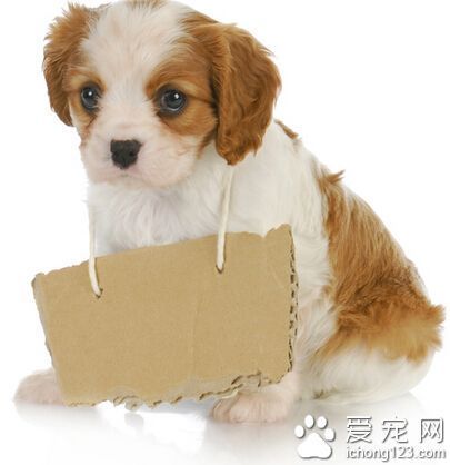 篮球训练内容文字描述_0